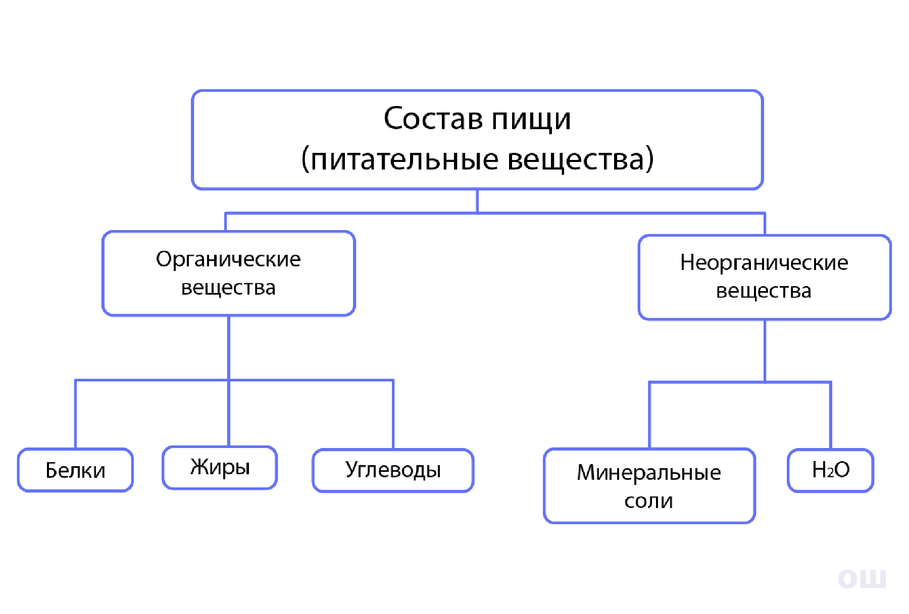 Питание и пищеварение. Органы пищеварительной системы. Пищеварение в  ротовой полости | Биология 8 класс