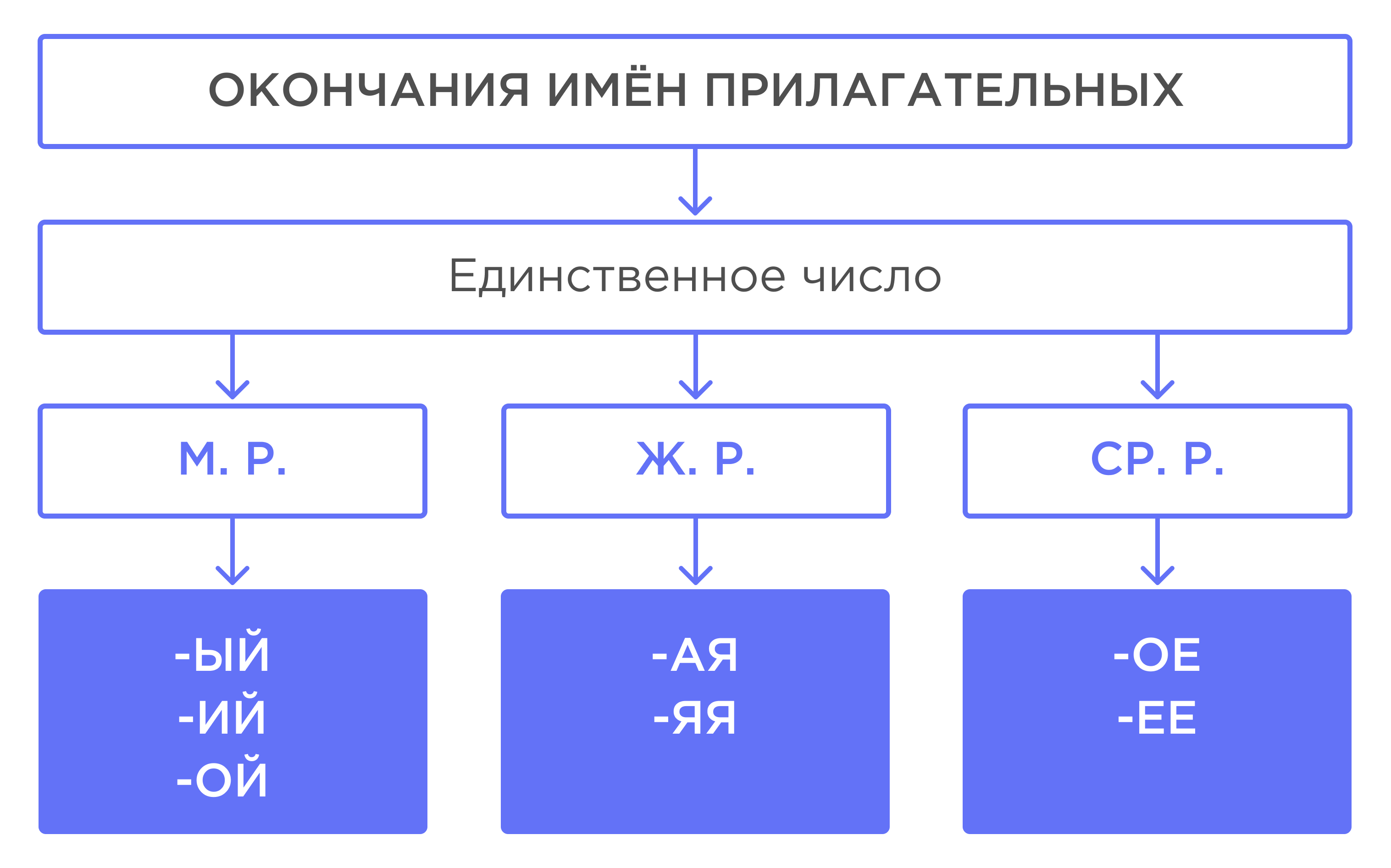 Род имён прилагательных. Изменение имён прилагательных по родам | Русский  язык 3 класс