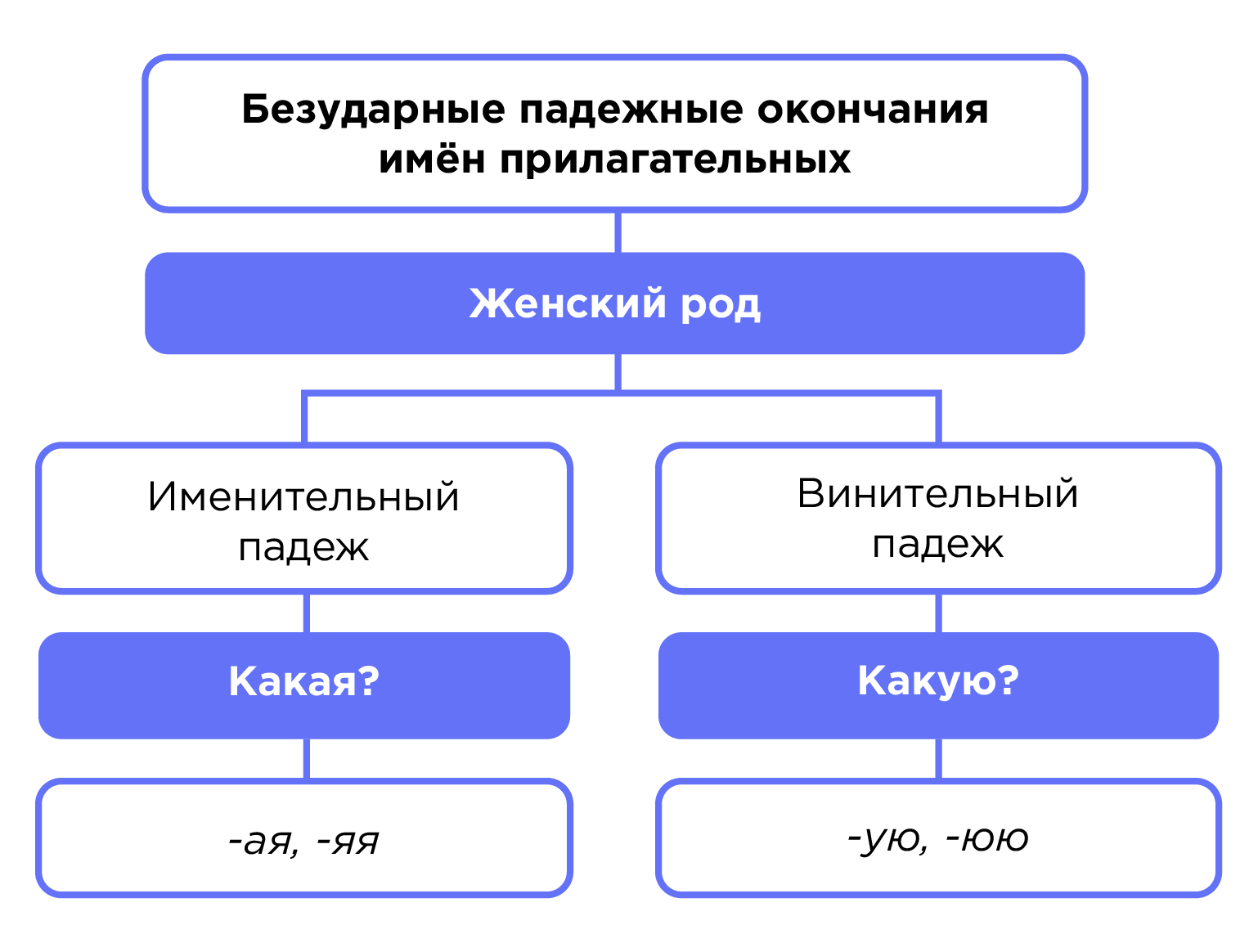 Правописание падежных окончаний имён прилагательных мужского и среднего  рода, женского рода | Русский язык 4 класс