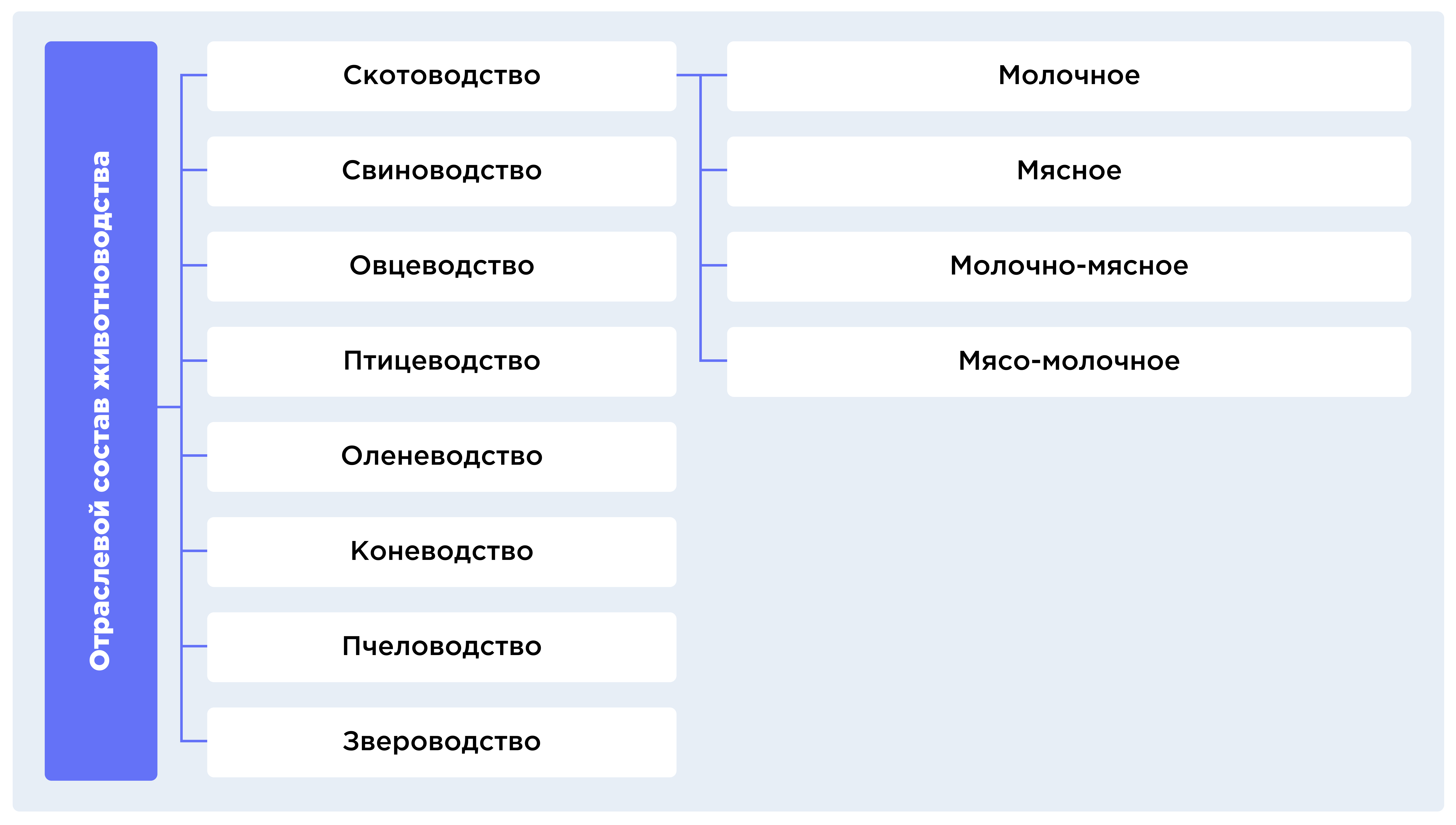 Направления скотоводства