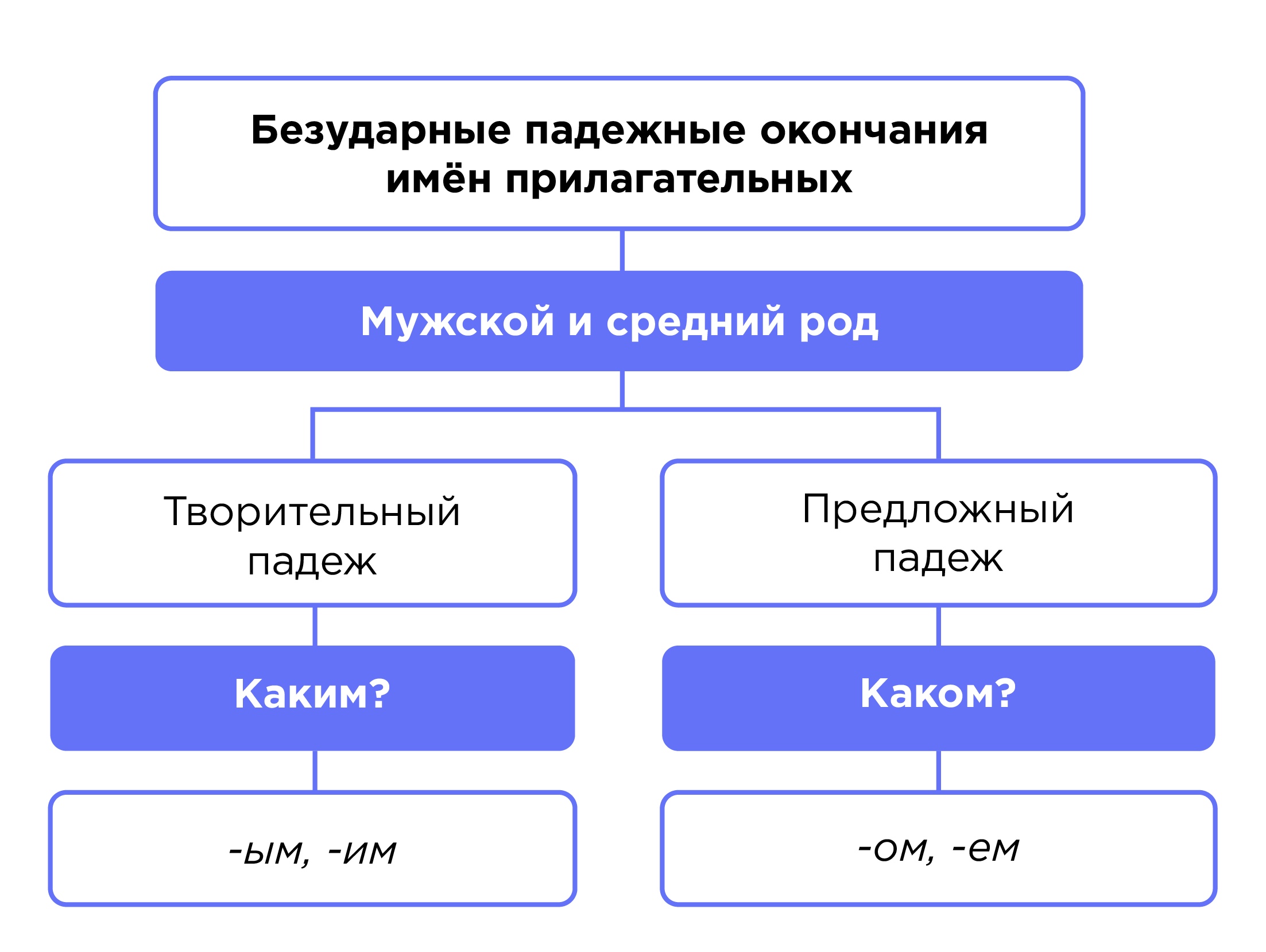 Правописание падежных окончаний имён прилагательных мужского и среднего  рода, женского рода | Русский язык 4 класс