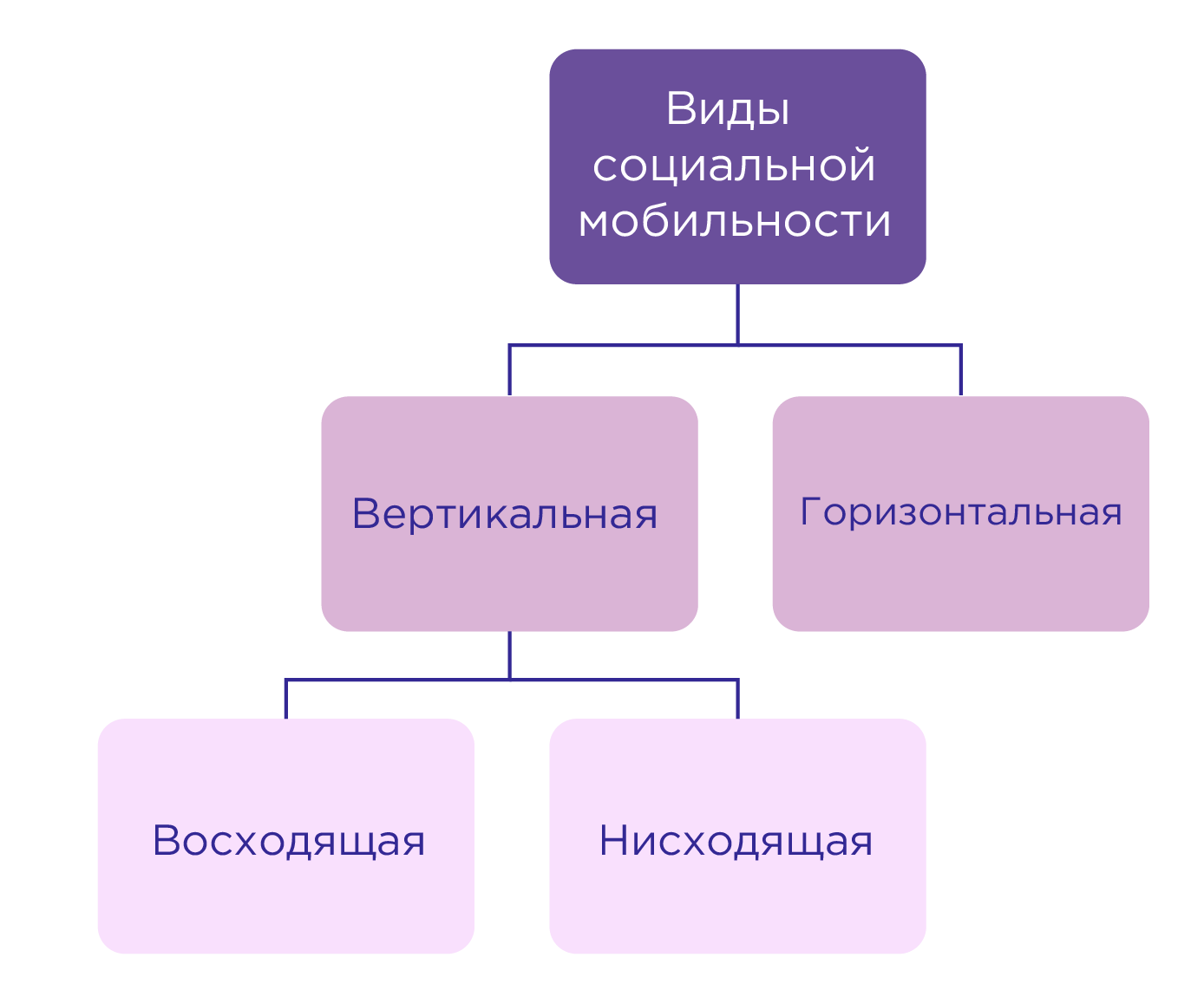 Обществознание 8 класс социальная структура общества