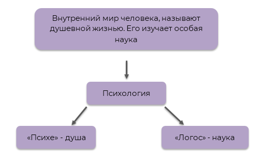 Необычные и интересные факты о человеческом зрении