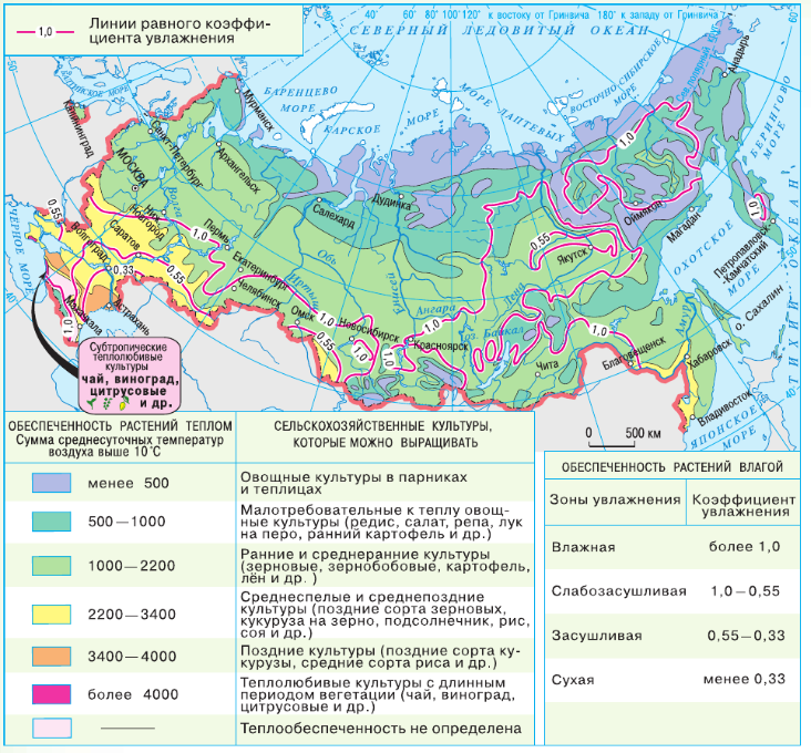 Природные зоны и биологические ресурсы россии