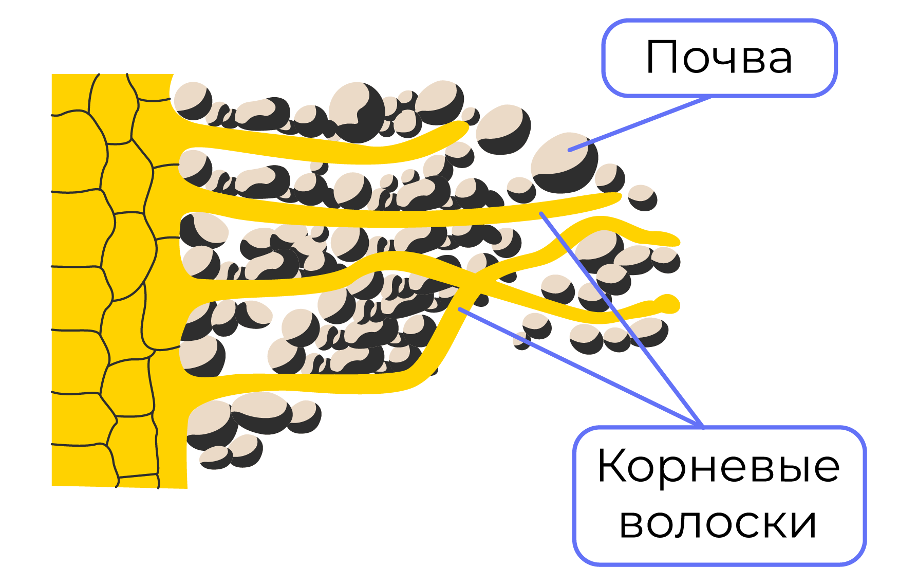 Экономическое и социальное развитие в середине 1950-х — середине 1960-х гг.  | История 11 класс