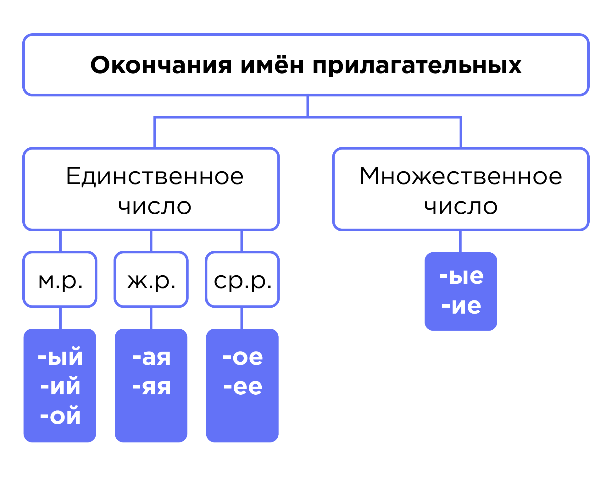 Имя прилагательное. Признаки части речи. Образование имен прилагательных |  Русский язык 4 класс