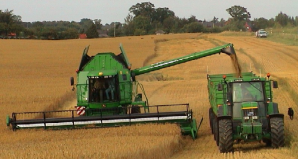 Рис. 1. Выращивание пшеницы