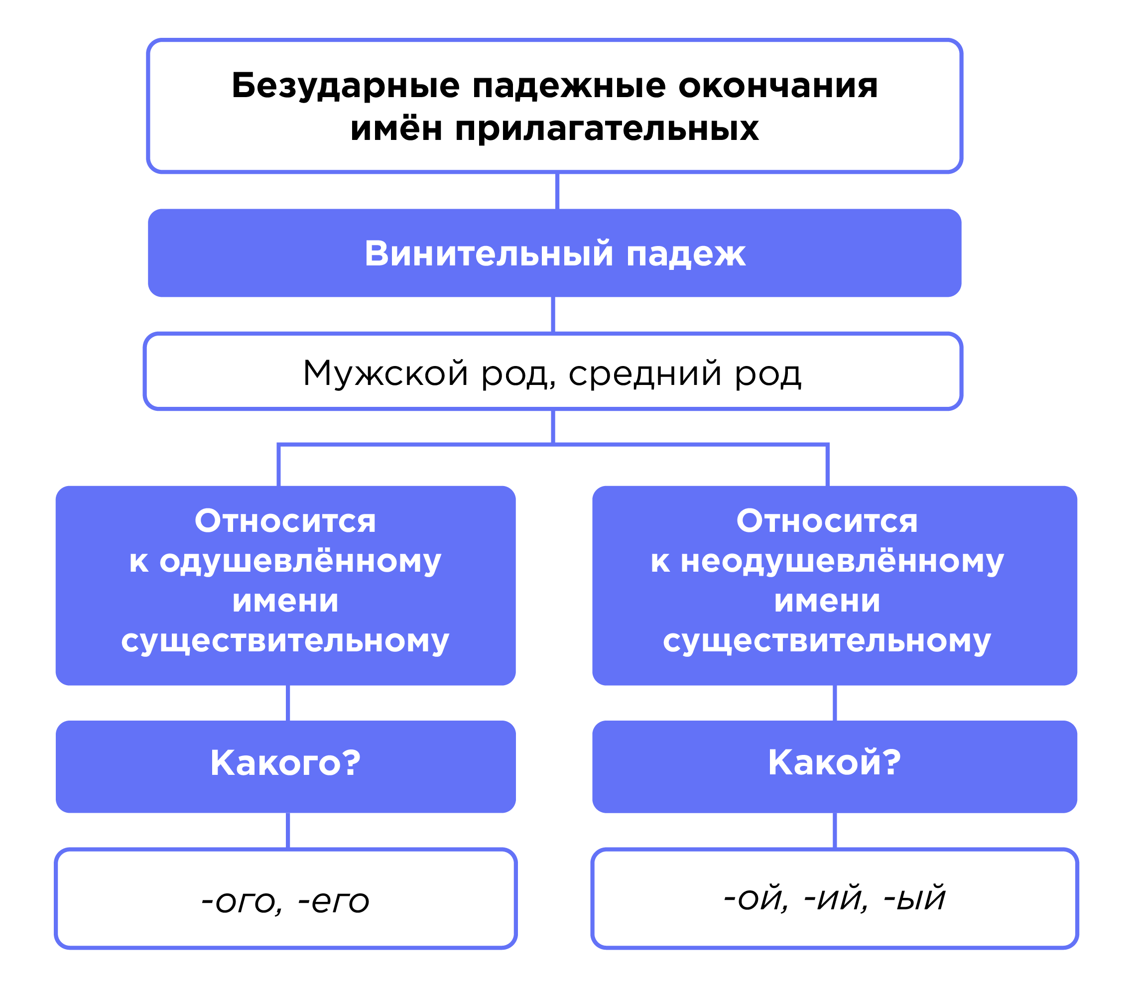 Правописание падежных окончаний имён прилагательных мужского и среднего рода,  женского рода | Русский язык 4 класс