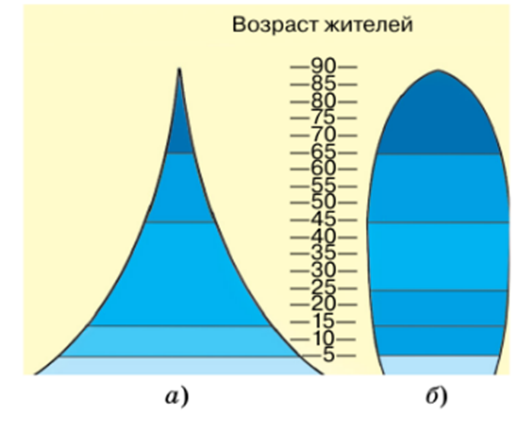 Возрастной состав населения какой страны отражает представленная на рисунке диаграмма
