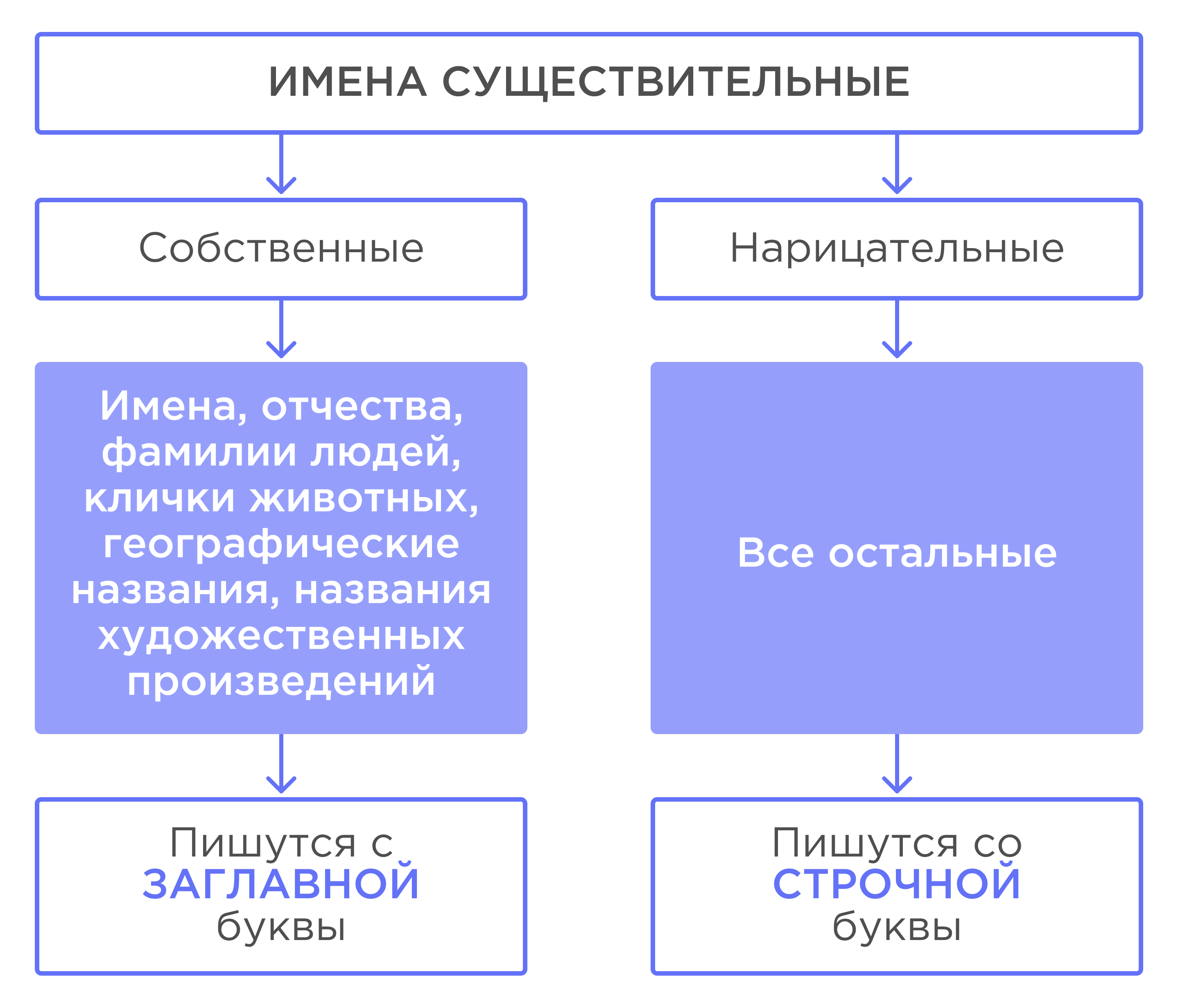 Одушевлённые и неодушевлённые имена существительные. Собственные и  нарицательные имена существительные. Число имён существительных. | Русский  язык 3 класс