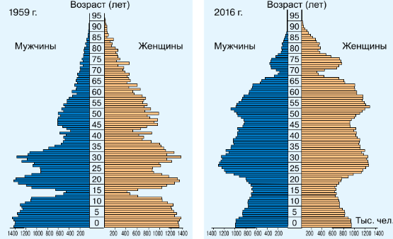 Рис. 5. Половозрастные пирамиды России 1959 и 2016 годов.