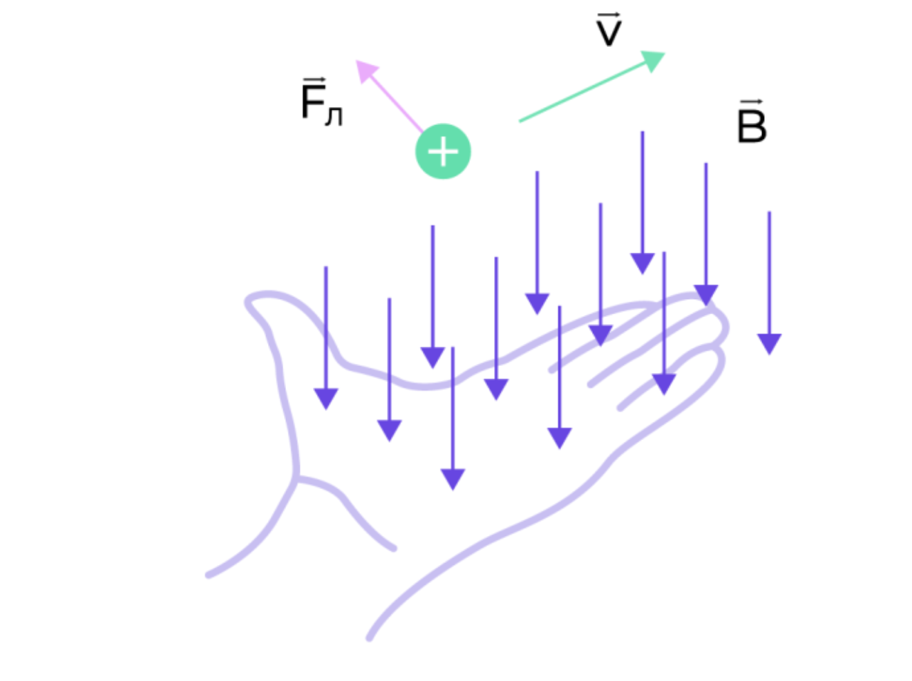 Рис. 1. Правило левой руки для определения направления действия магнитной составляющей силы Лоренца