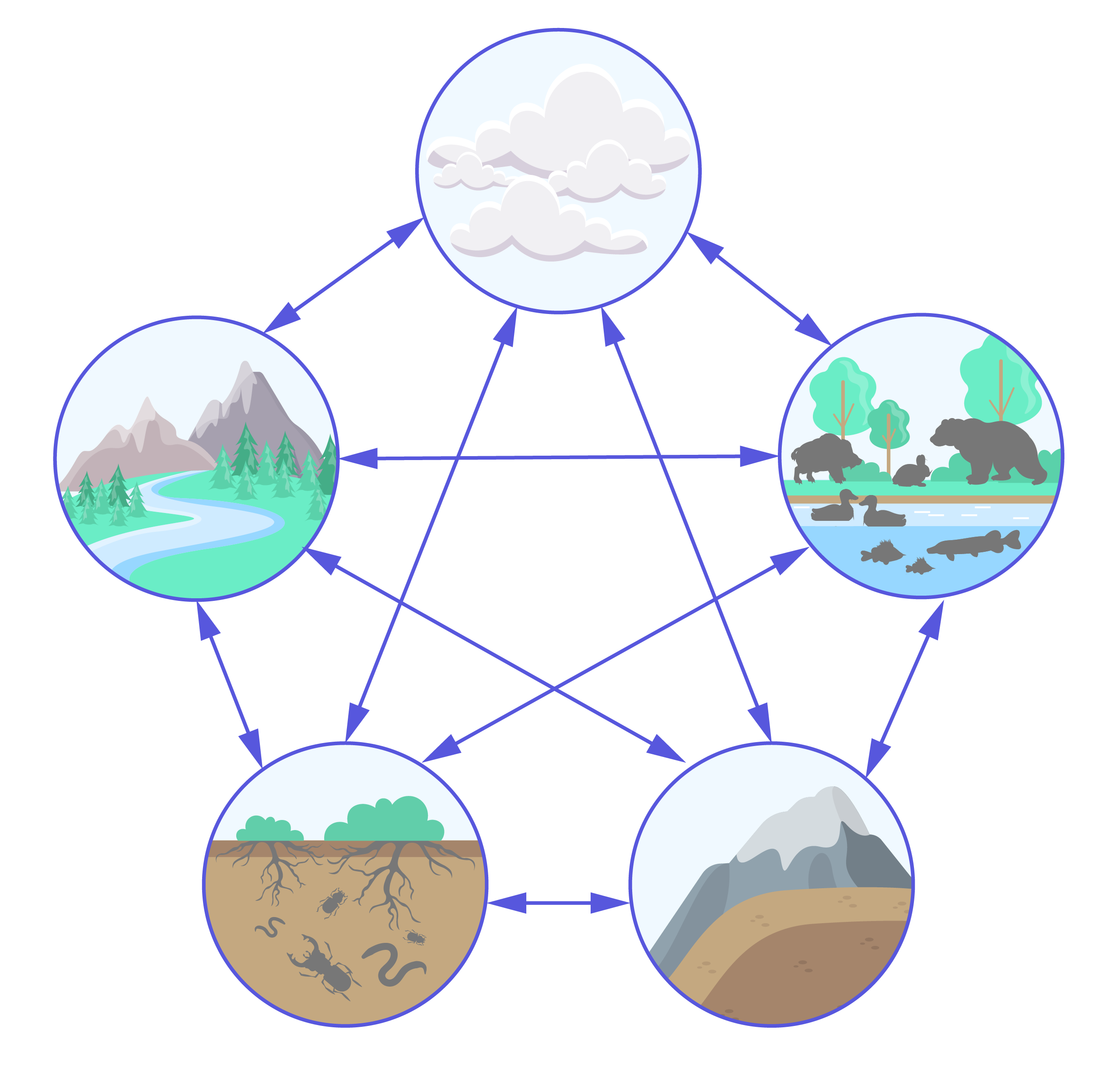 7 компонентов природы. Схема природного территориального комплекса. Схема природного территориального комплекса 8 класс. Взаимосвязь компонентов природы. Что такое природа-территориальные комплексы.