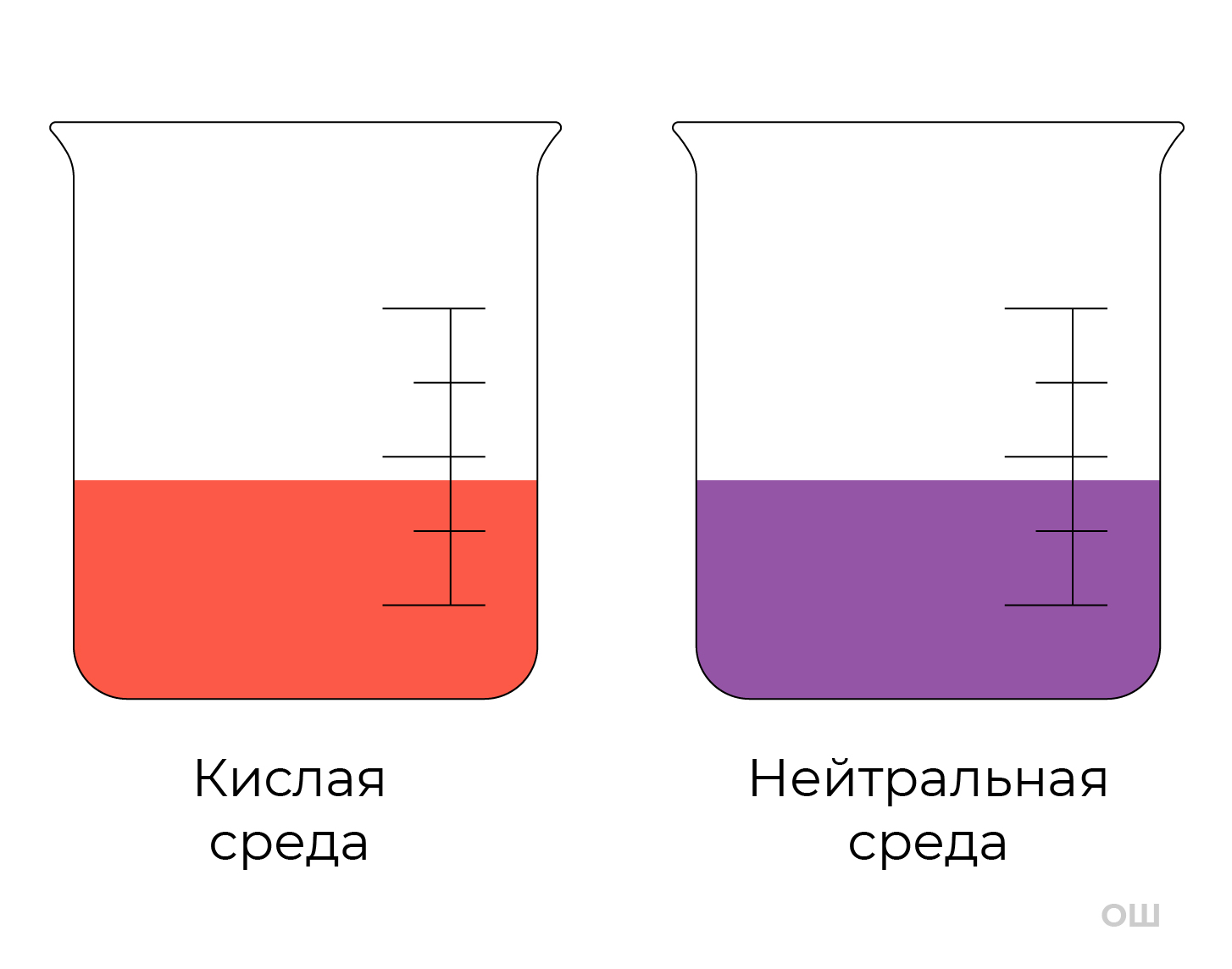 Кислоты, их классификация и химические свойства | Химия 8 класс