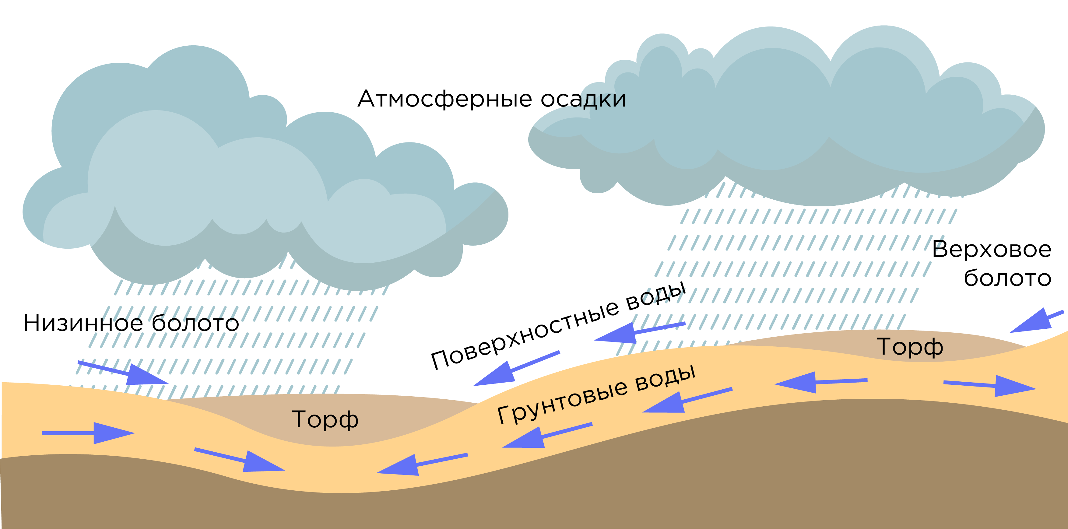 Атмосферные осадки видео. Схема образования болот. Атмосферные осадки картинки. Связь подземных вод и болот география. Схема болота география 6 класс.