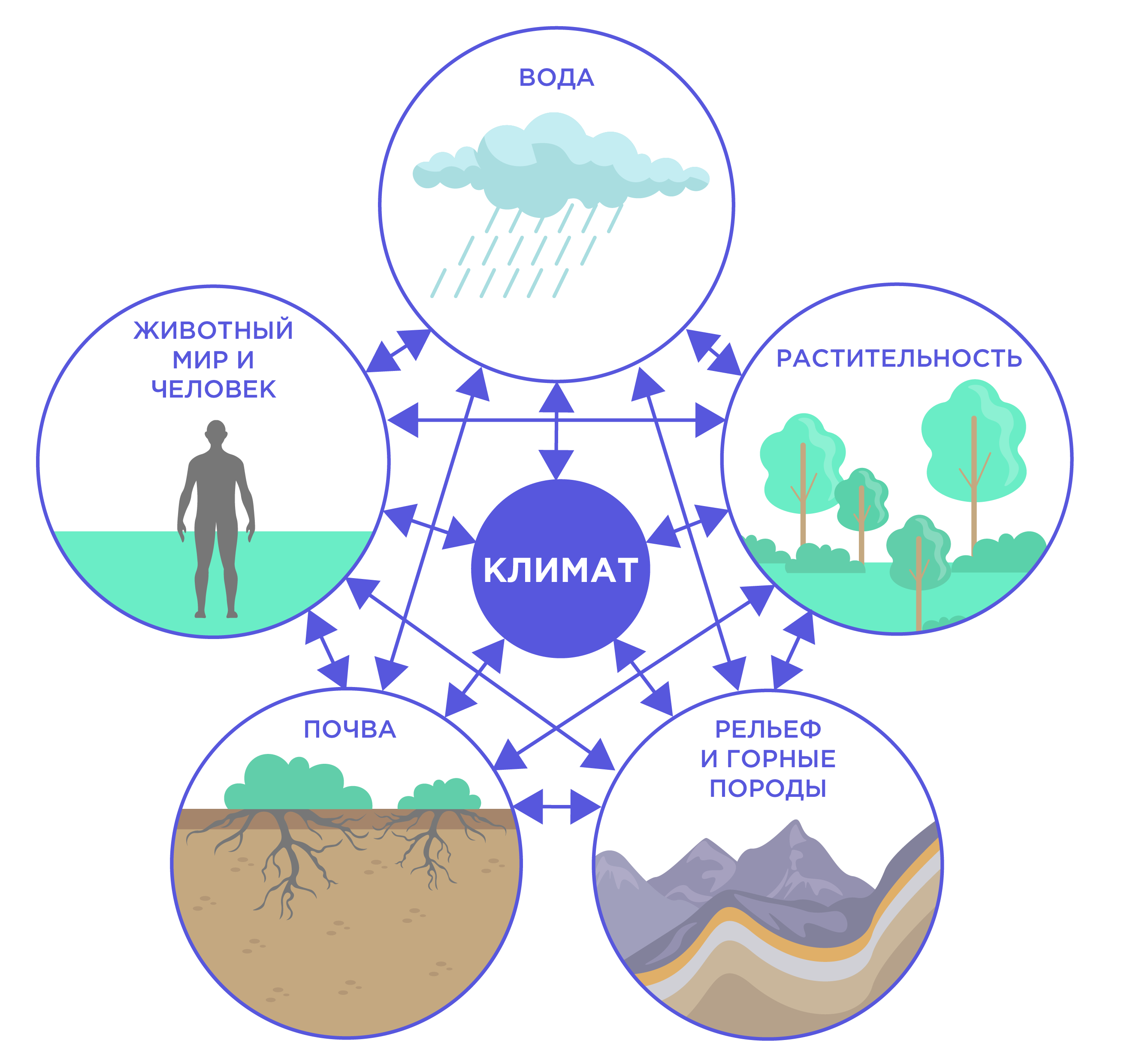 Природный комплекс самой большой. Water Cycle Craft. Organic Carbon Cycle. Экосистема. Круговорот воды в природе для детей дошкольного возраста.